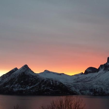 Senja, Husoy I Senja. Leilighet Med Utsikt Over Fjord Og Fjell Tofta Exterior foto