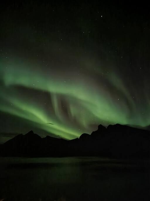 Senja, Husoy I Senja. Leilighet Med Utsikt Over Fjord Og Fjell Tofta Exterior foto
